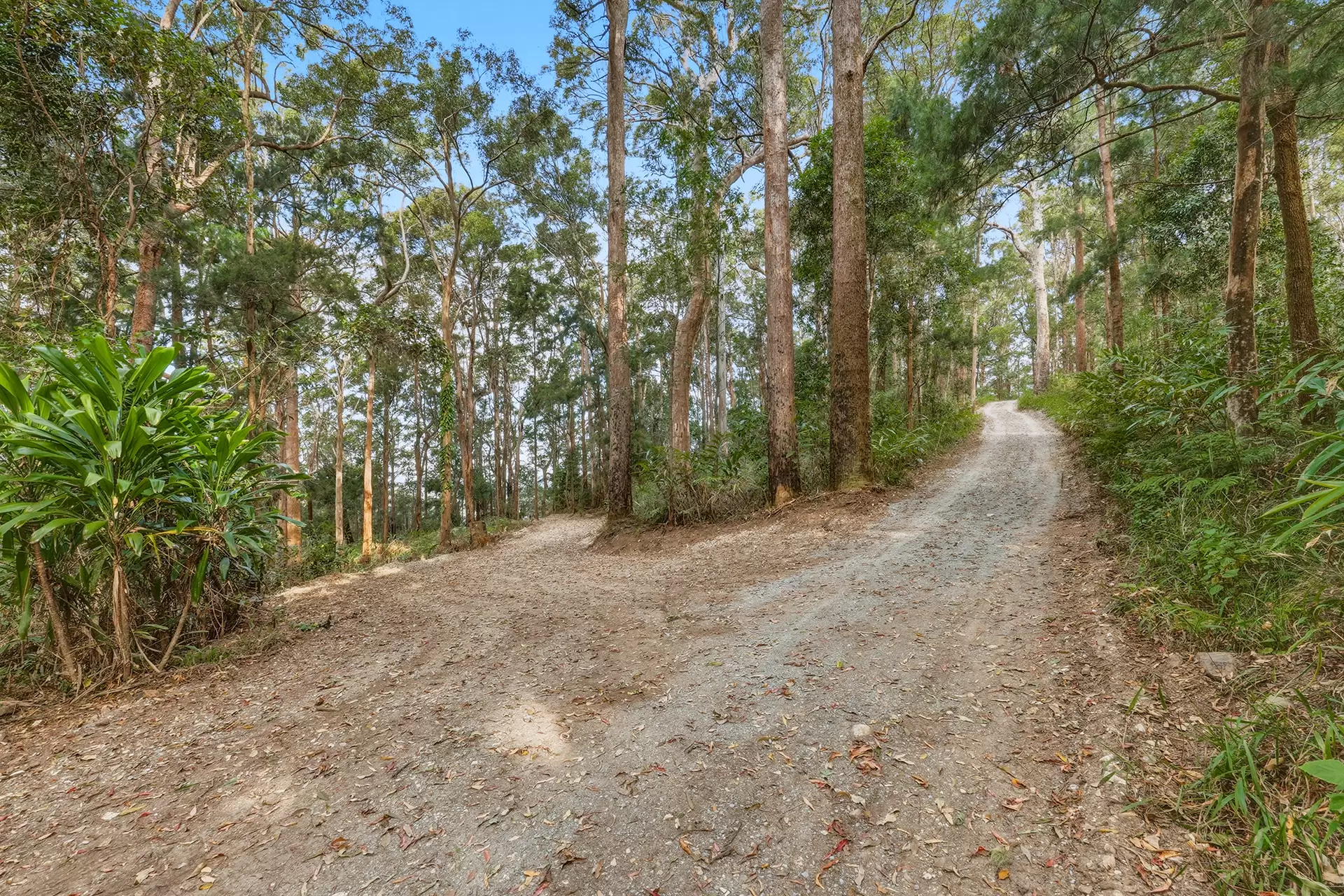 453 Mount Nimmel Road, Austinville For Sale by  - image 1