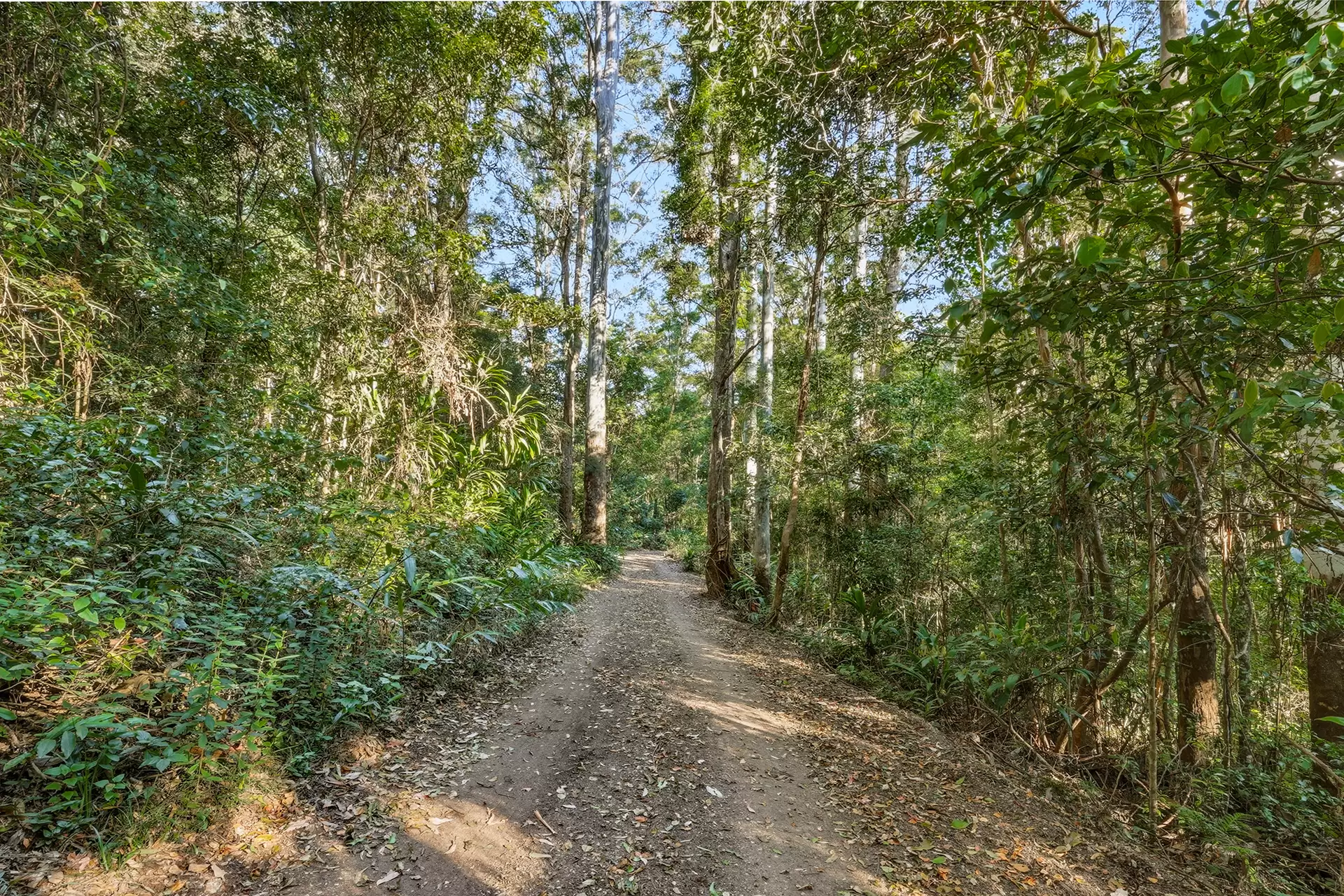 453 Mount Nimmel Road, Austinville For Sale by  - image 1