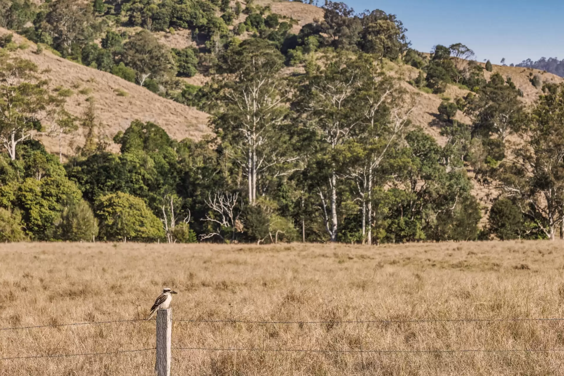 Lot 7 Illinbah  Road, Illinbah For Sale by  - image 1