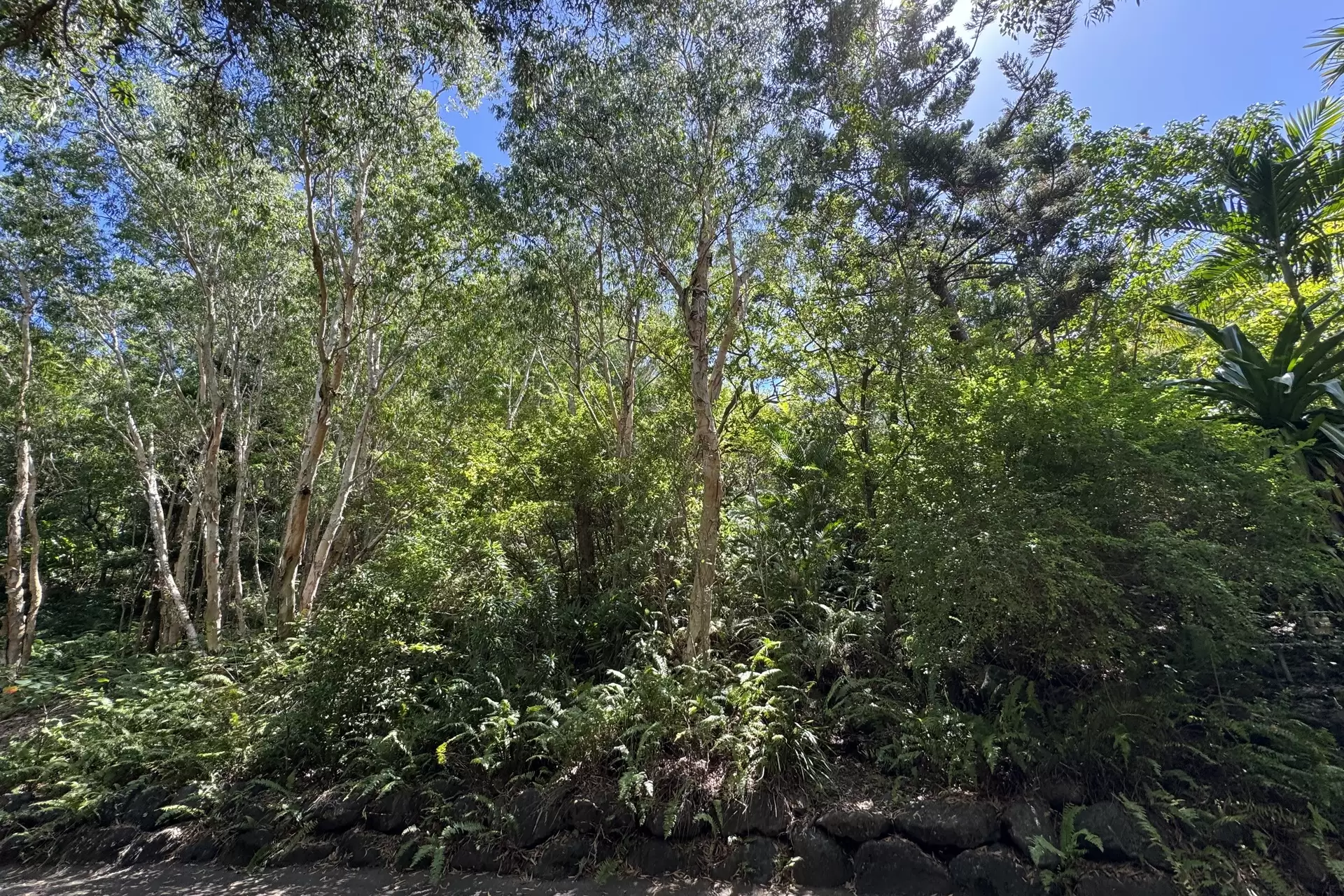 Lot HO, 21 Melaleuca Drive, Hamilton Island For Sale by  - image 1