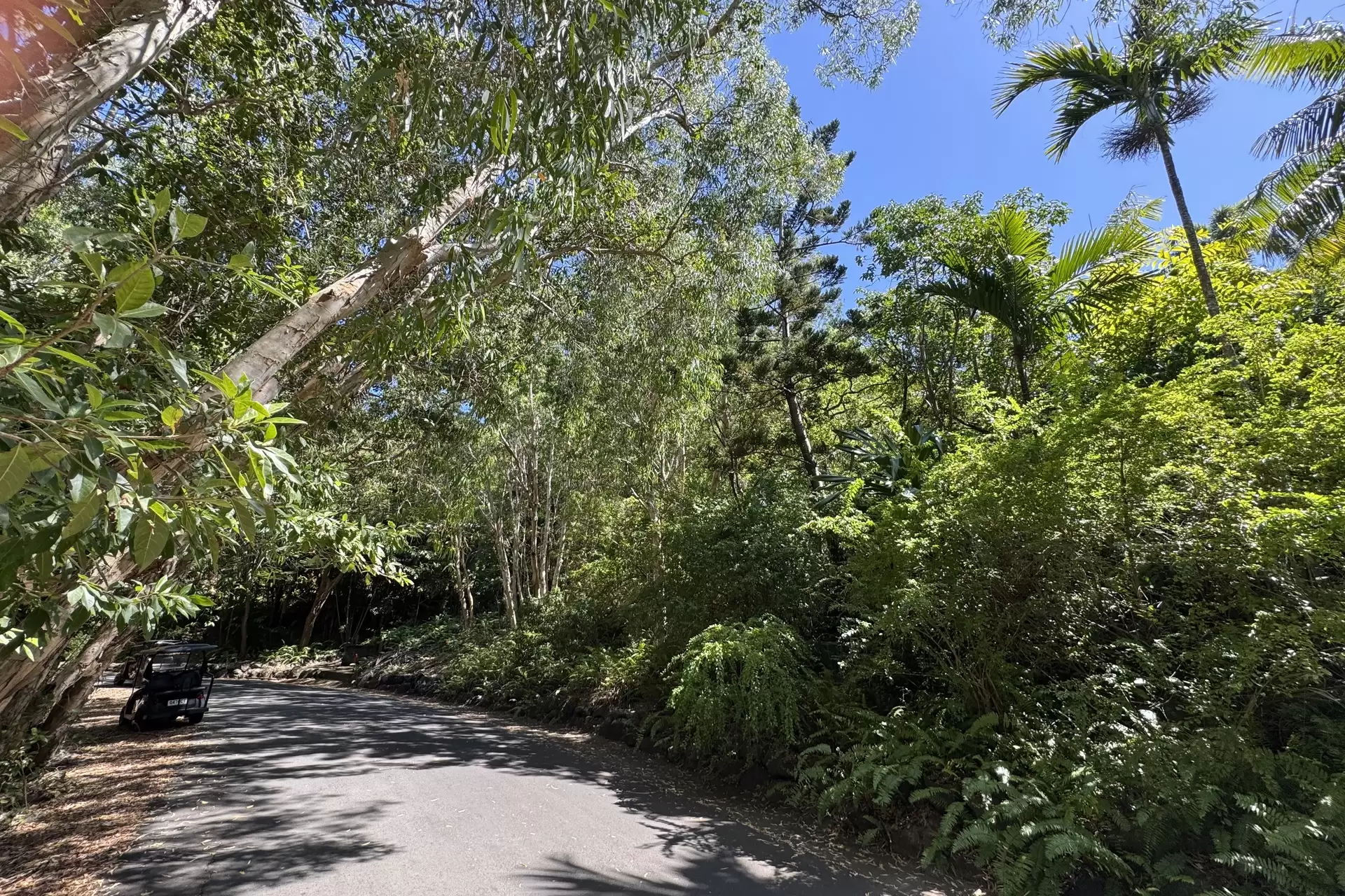 Lot HO, 21 Melaleuca Drive, Hamilton Island For Sale by Queensland Sotheby's International Realty - image 1
