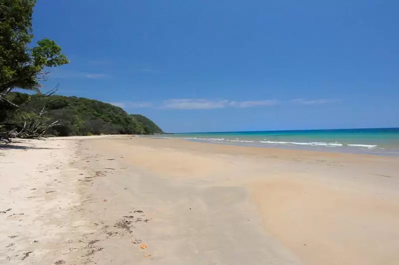 35 Kauri Close, Cow Bay For Sale by Queensland Sotheby's International Realty - image 1