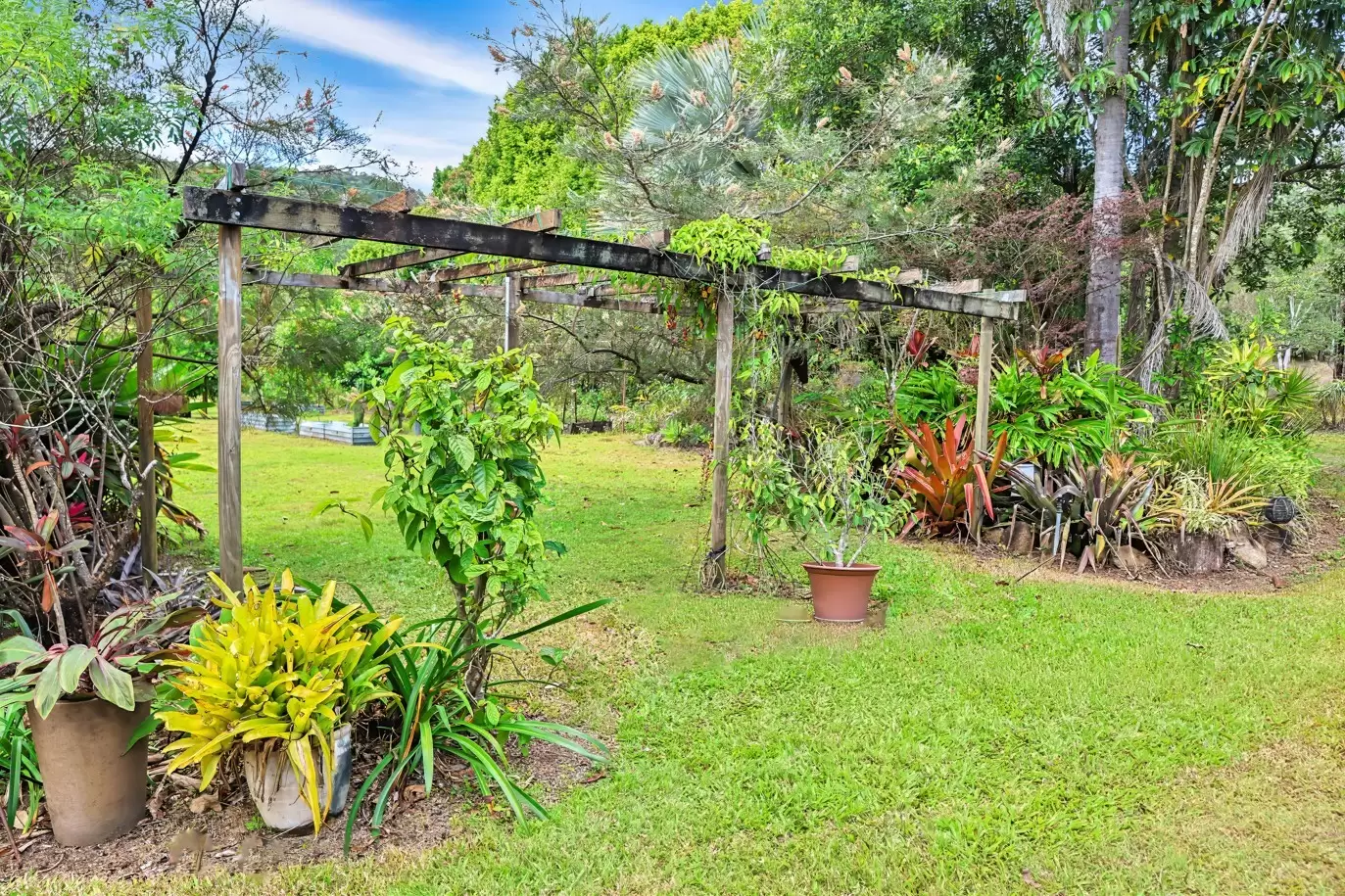 1069 Conway Road, Conway For Sale by Queensland Sotheby's International Realty - image 1