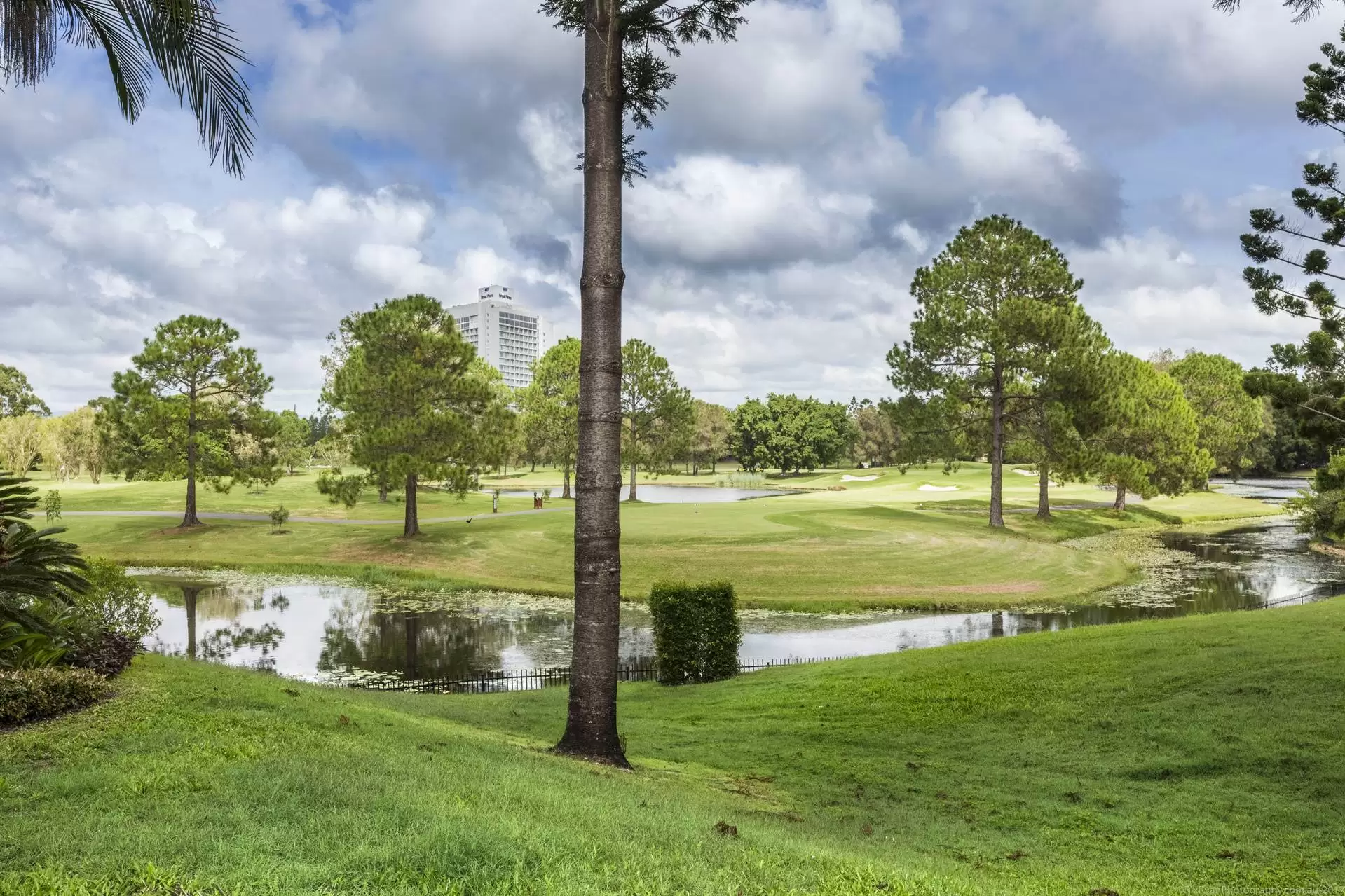 2104/1 Ross Street, Benowa Sold by Queensland Sotheby's International Realty - image 1