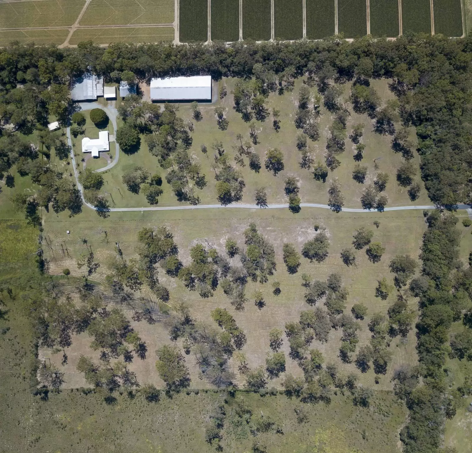 50  McRae Road, Elimbah Sold by Queensland Sotheby's International Realty - image 1