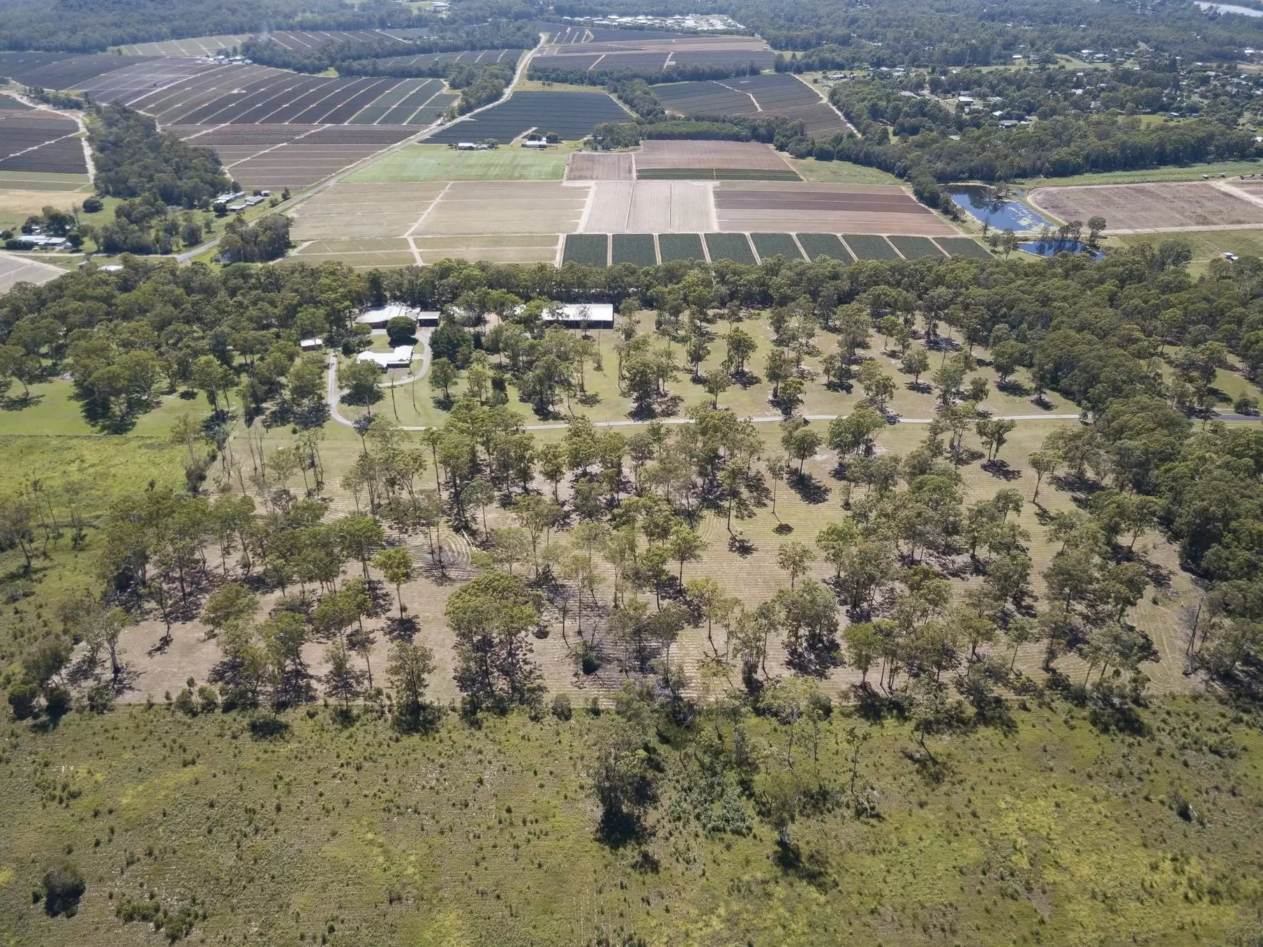 50  McRae Road, Elimbah Sold by Queensland Sotheby's International Realty - image 1