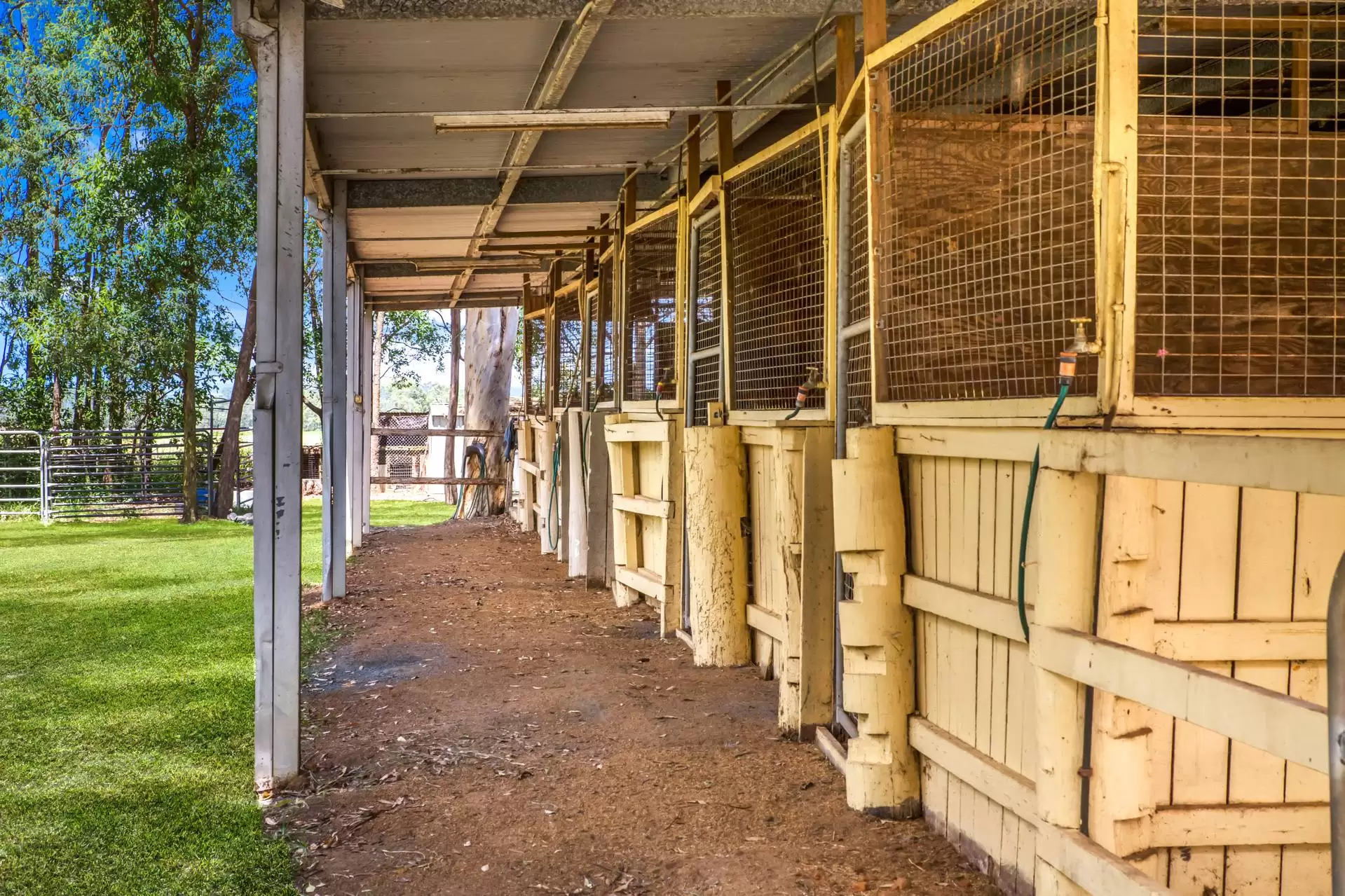 50  McRae Road, Elimbah Sold by Queensland Sotheby's International Realty - image 1