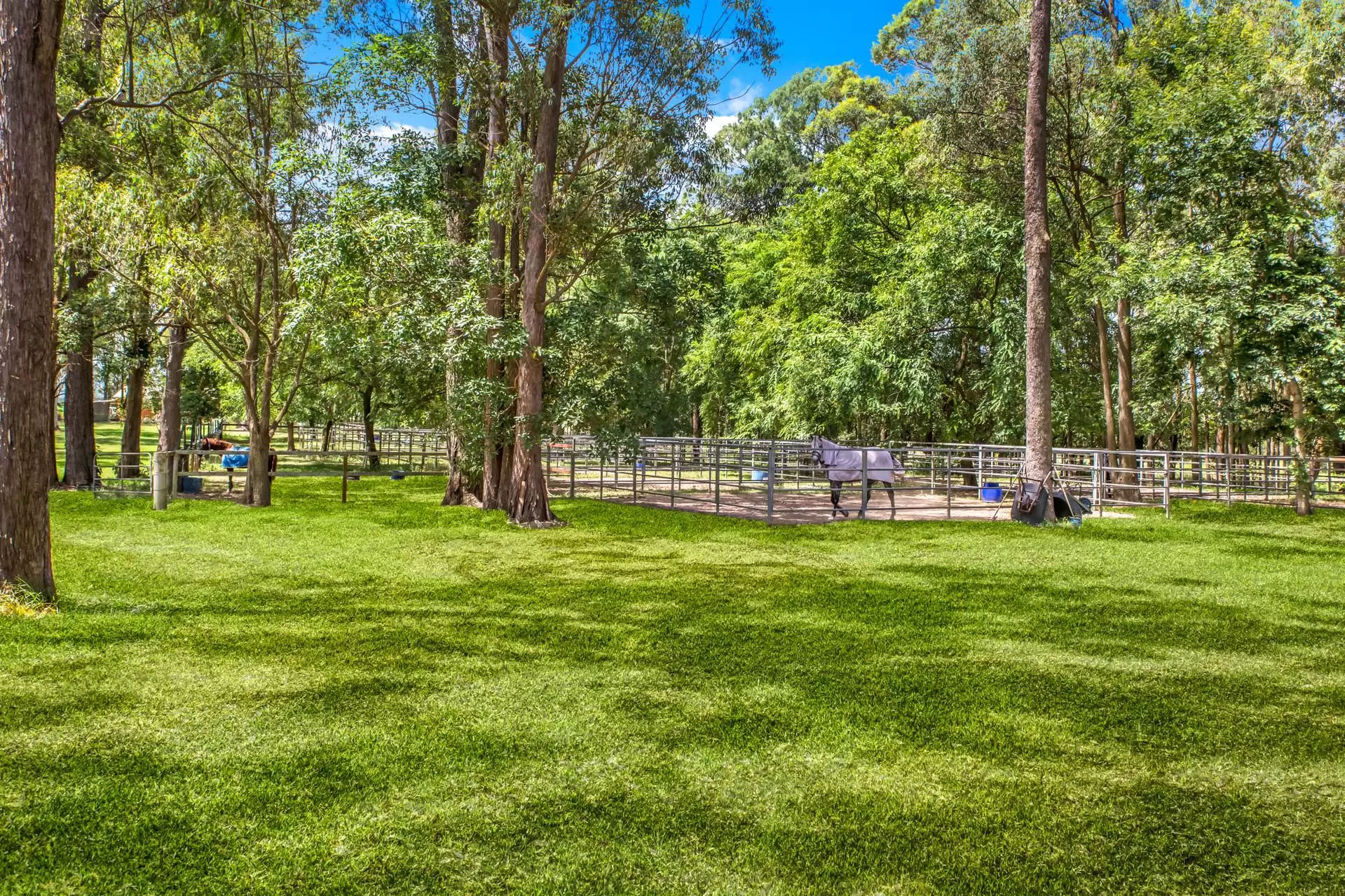 50  McRae Road, Elimbah Sold by Queensland Sotheby's International Realty - image 1