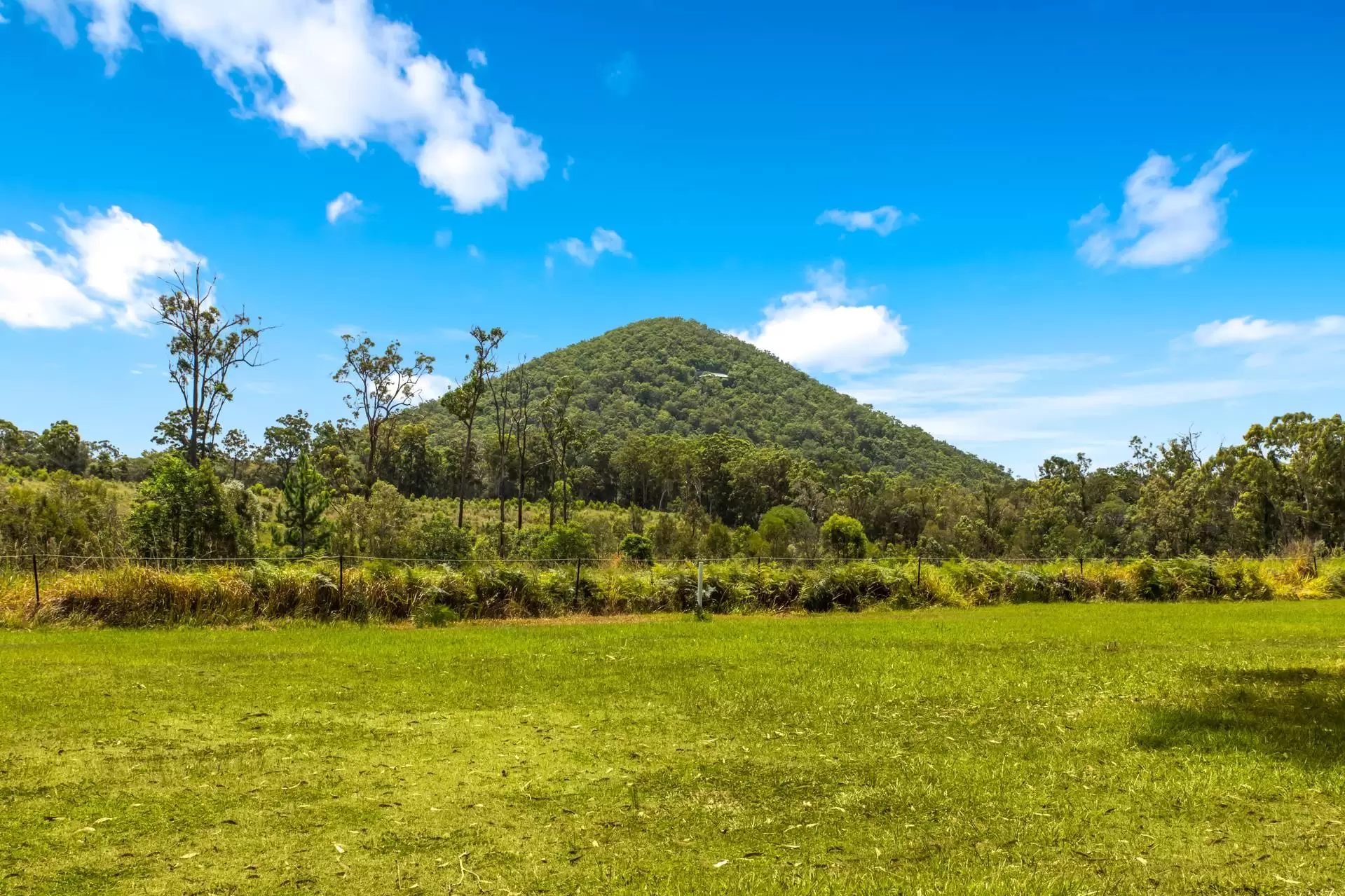 50  McRae Road, Elimbah Sold by Queensland Sotheby's International Realty - image 1